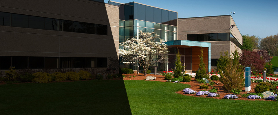 White Haven Landscapers