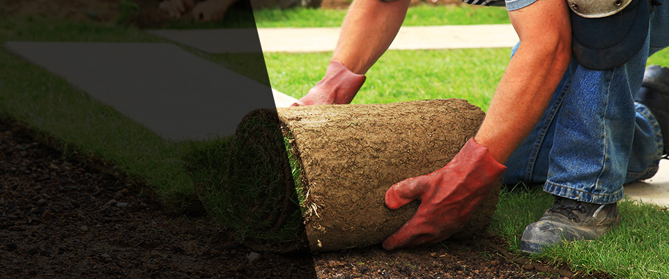 White Haven Landscapers